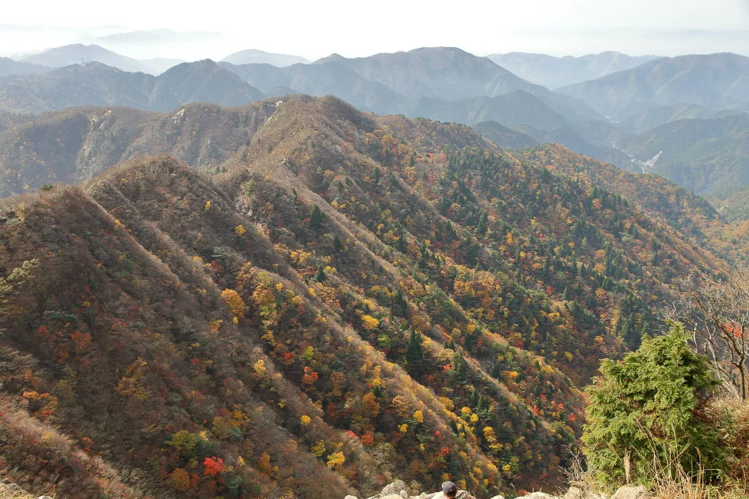 鎌尾根北西面の紅葉