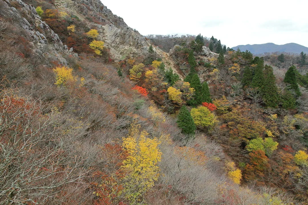 長石尾根登山道