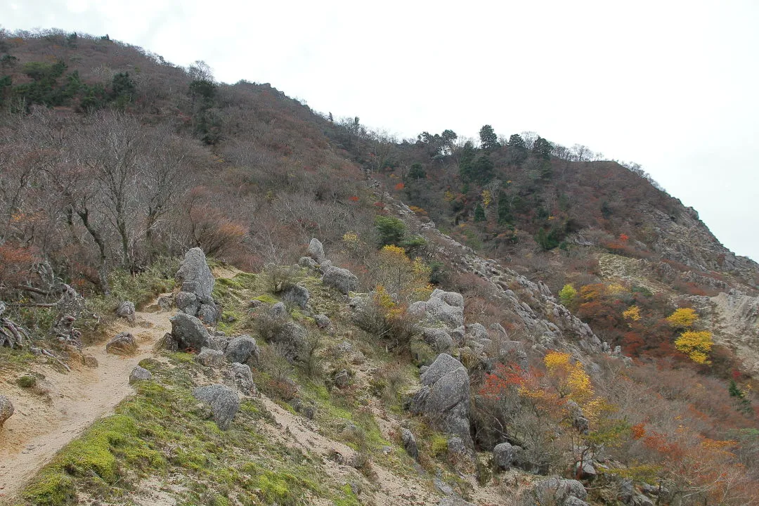 長石尾根登山道