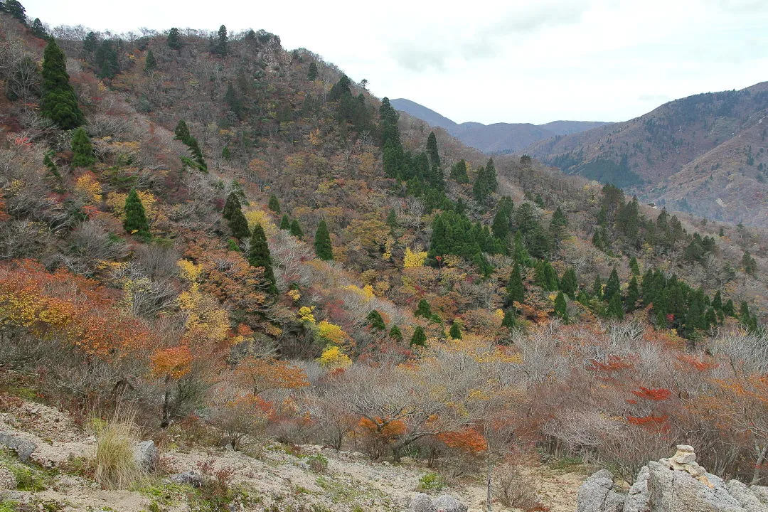 長石尾根登山道