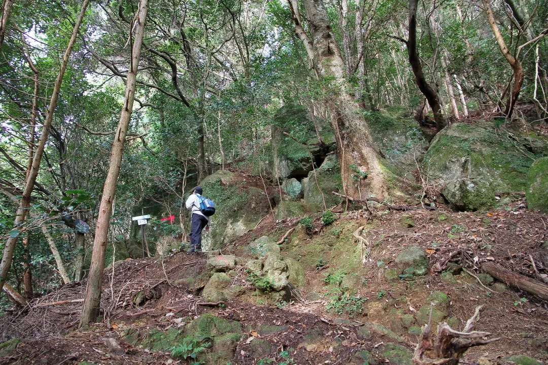 不動岩付近の登山道