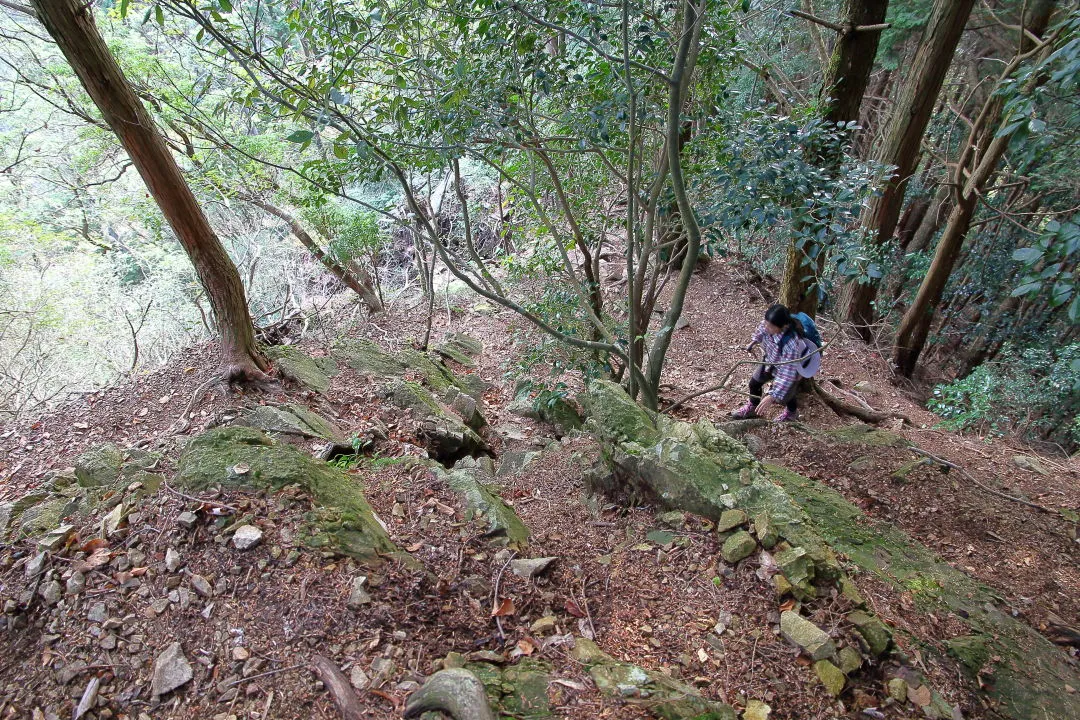 急坂の登山道を登る