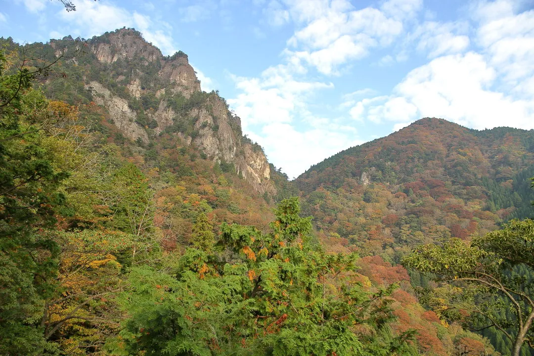 洞ヶ岳と鉾立山