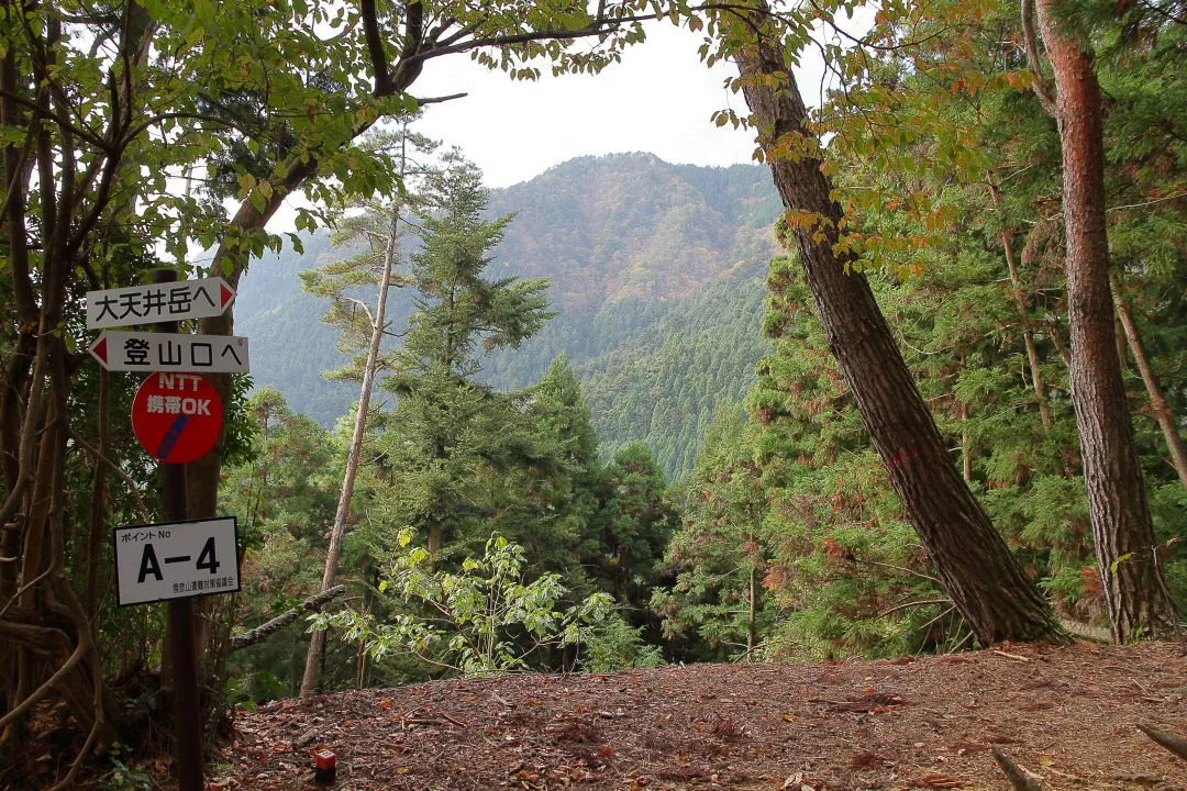 登山道から