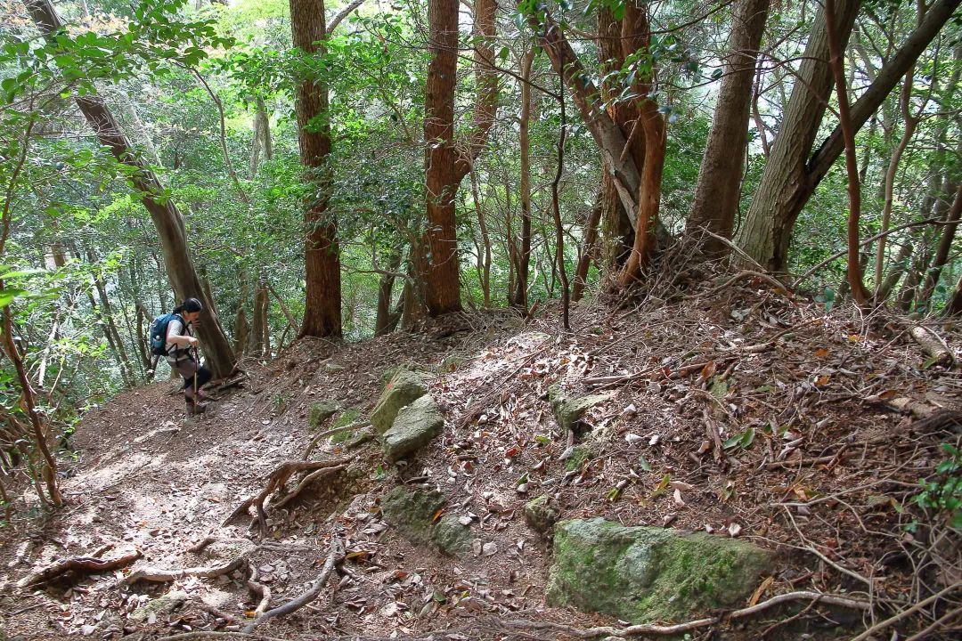 出雲岩への登山道