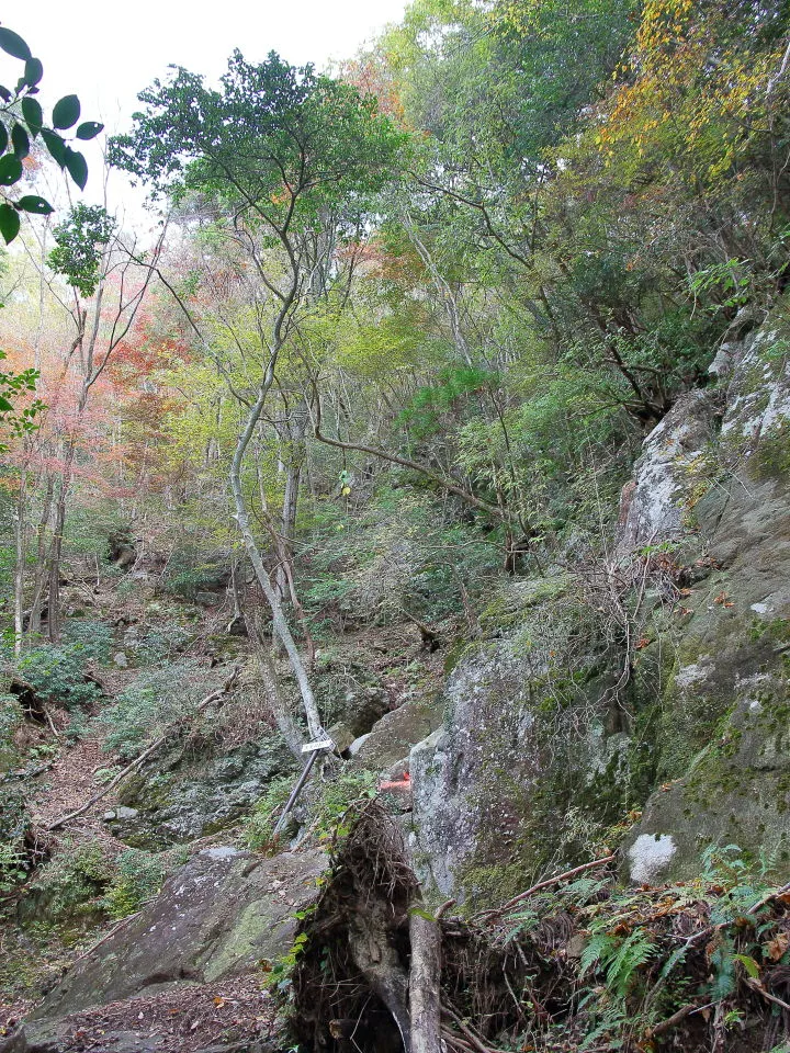 出雲岩を巻く登山道から