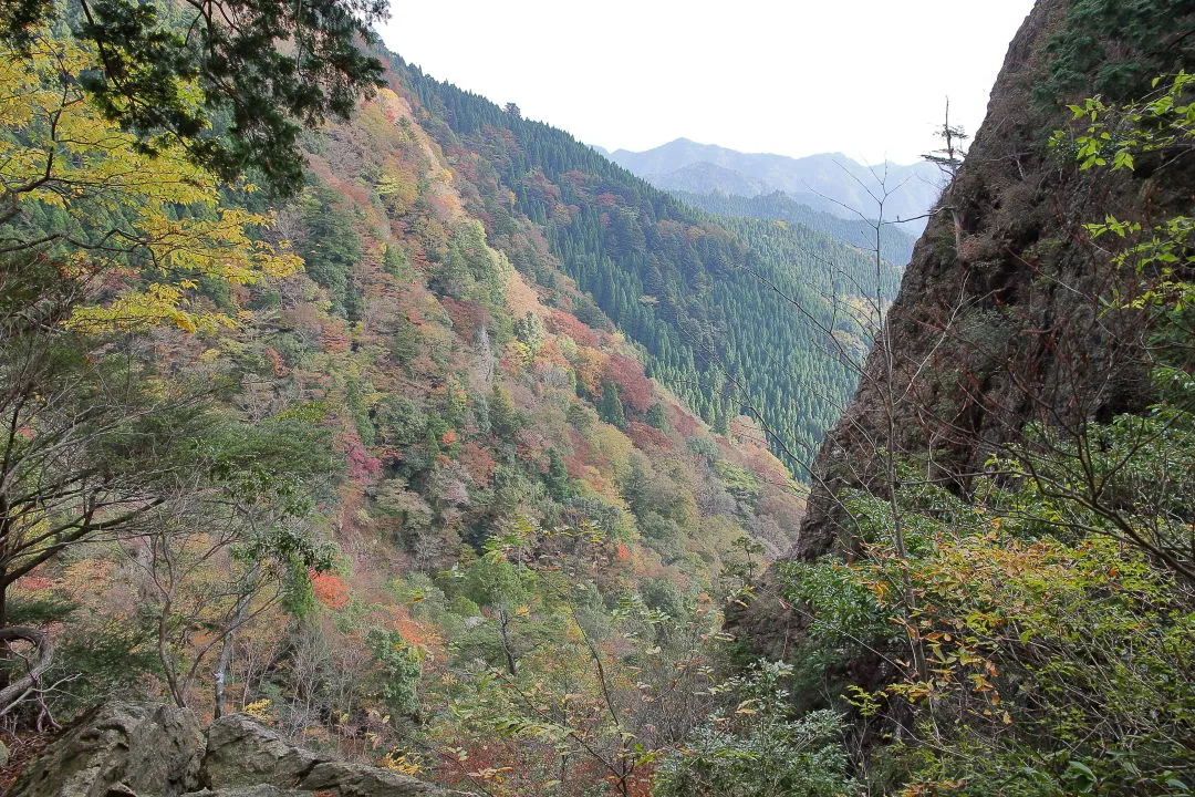 地蔵岳登山道から