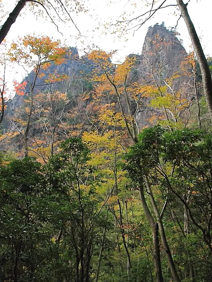 展望ベンチから洞ヶ岳