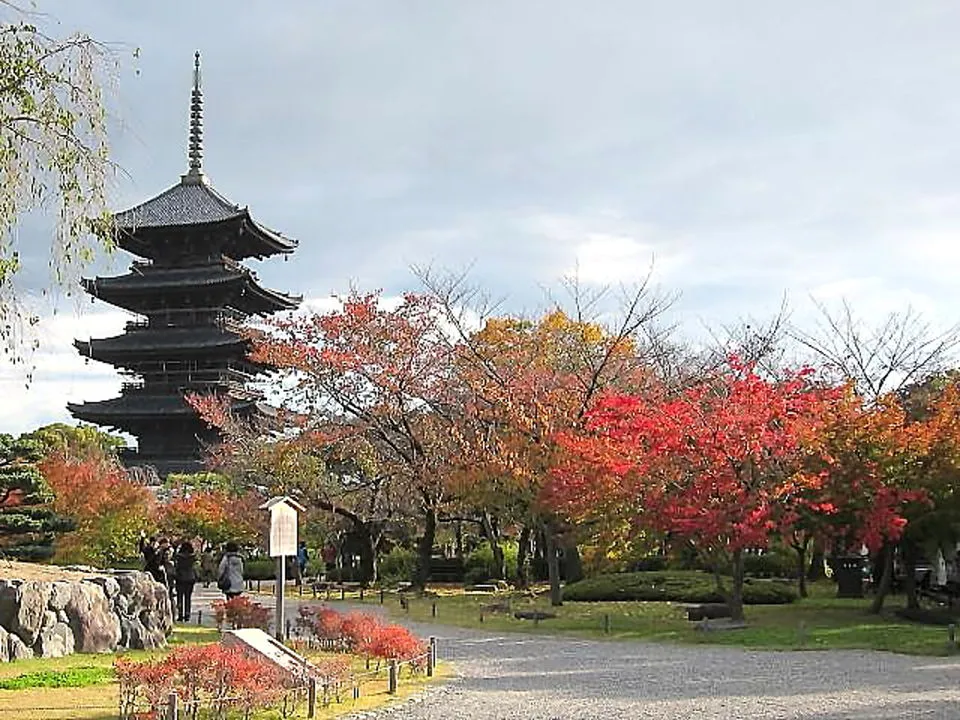 東寺五重塔と紅葉