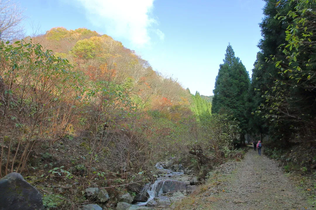 糸井の大カツラへ