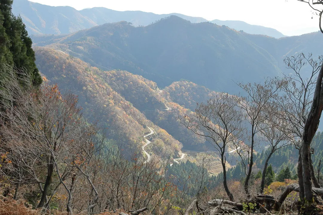 正面の鉄鈷山