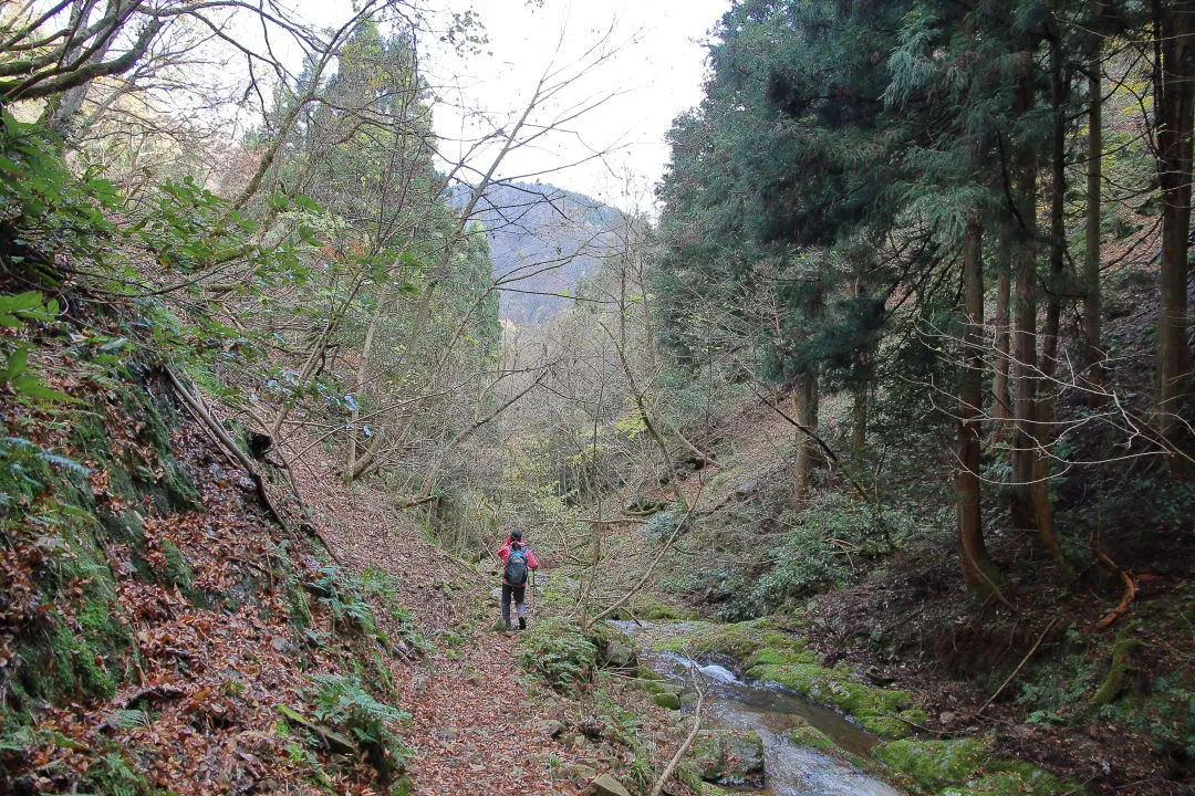 羅漢谷の登山道