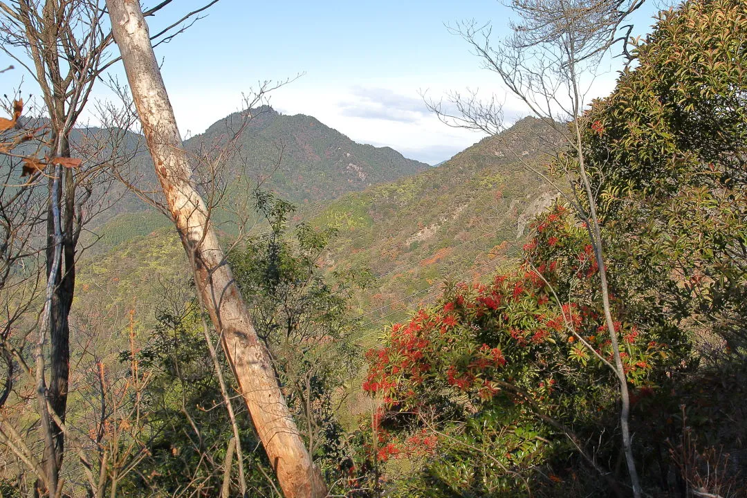 登山道から七種槍側