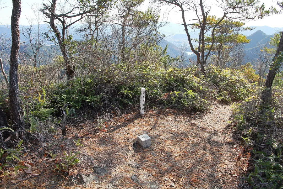 四等三角点のある奥山