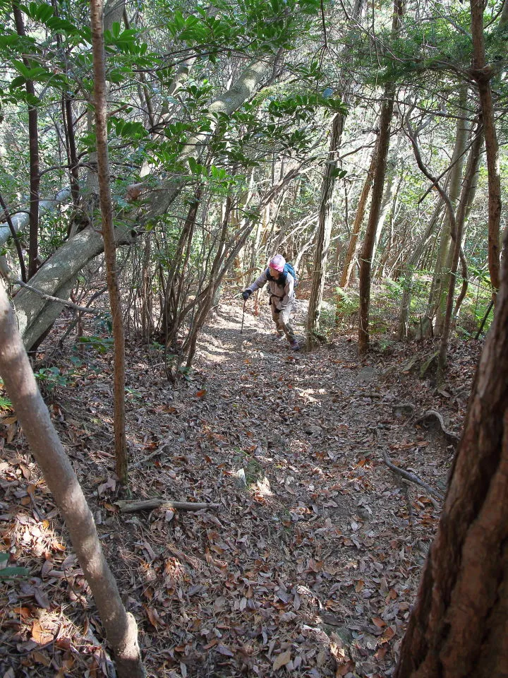 急な登山道が続く