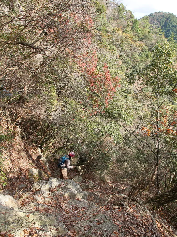 七種滝へ急な登山道