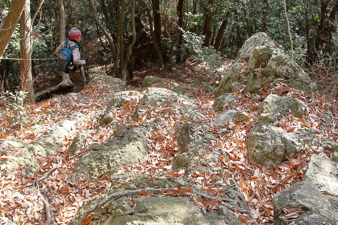 七種滝へ急な登山道を下る