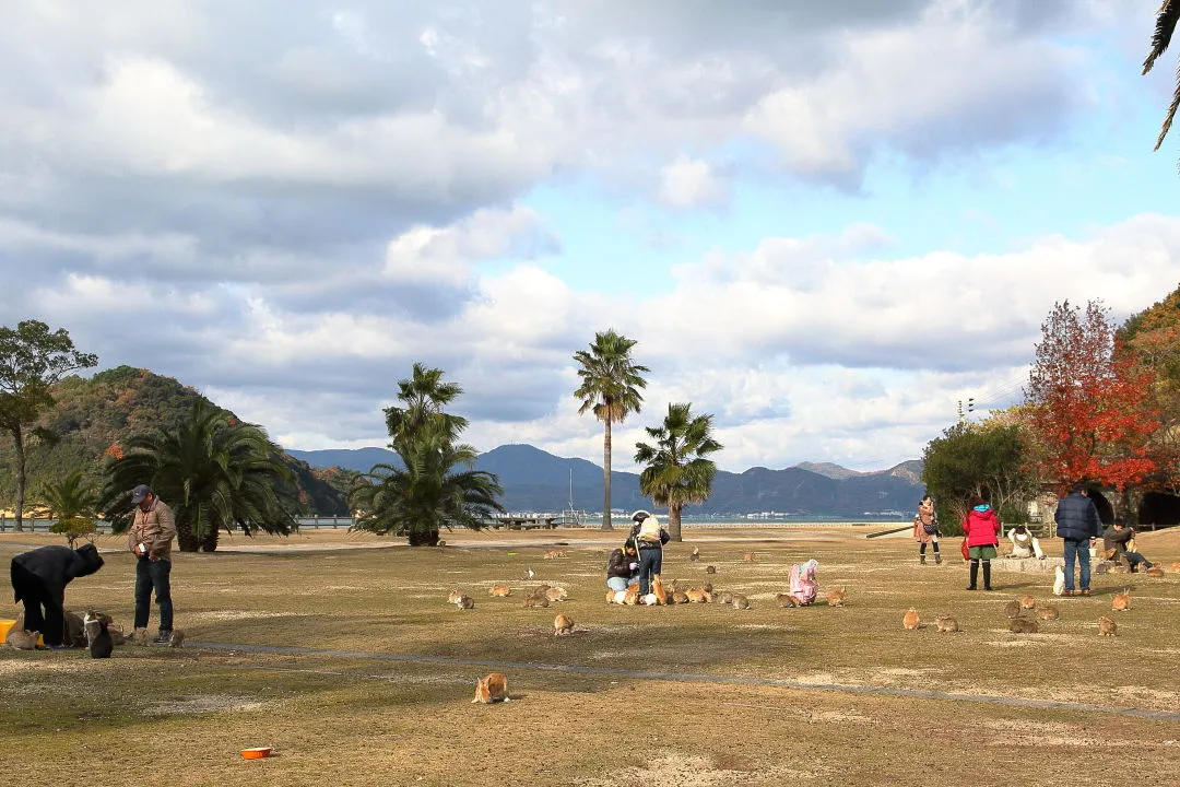 休暇村本館前広場