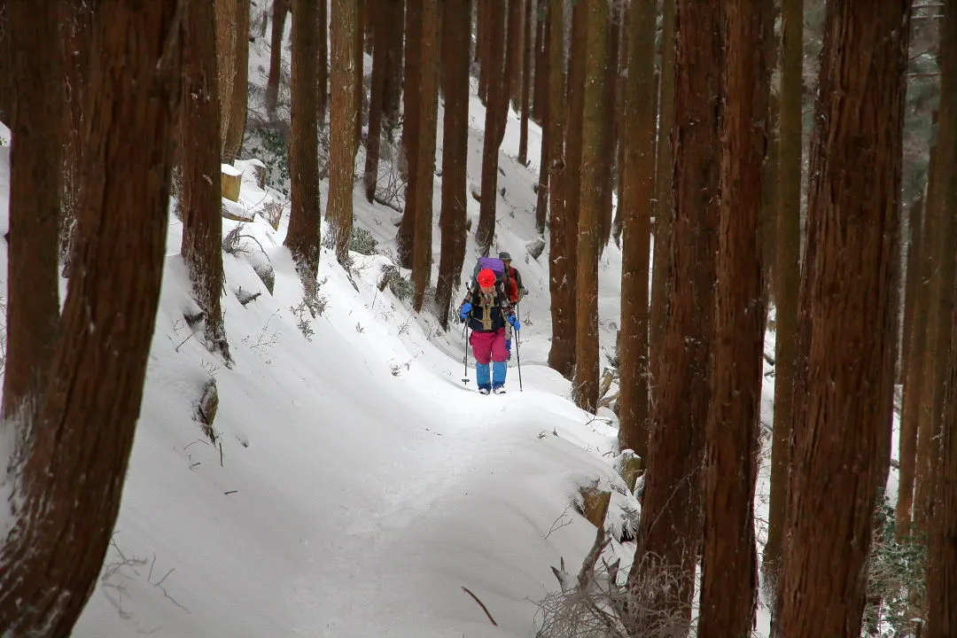 九十九折れの登山道