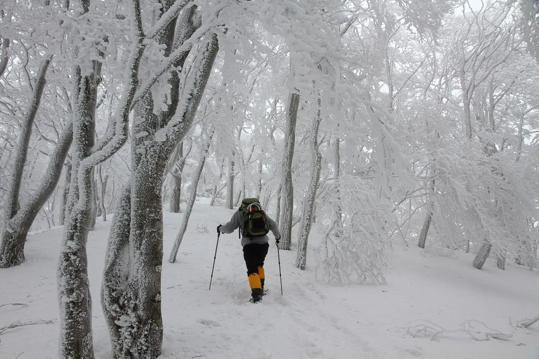 綿向山頂上へ向かう登山者