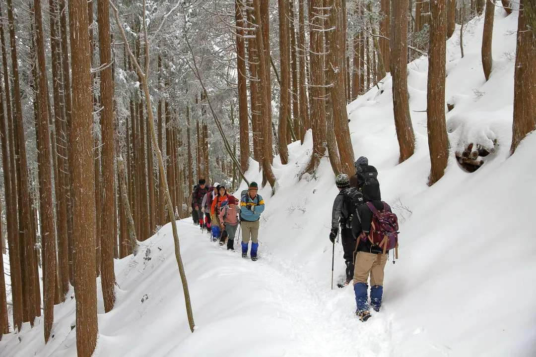 団体の登山者