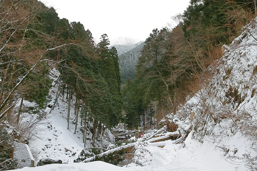 水無山は真っ白