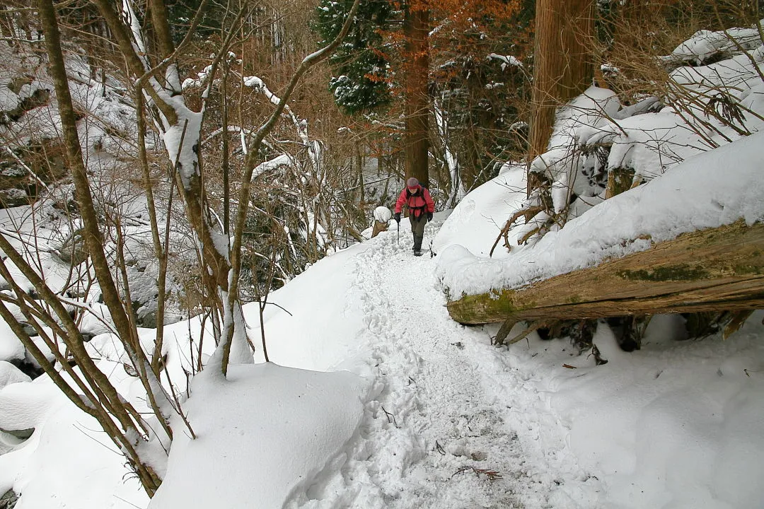 明神滝への雪道