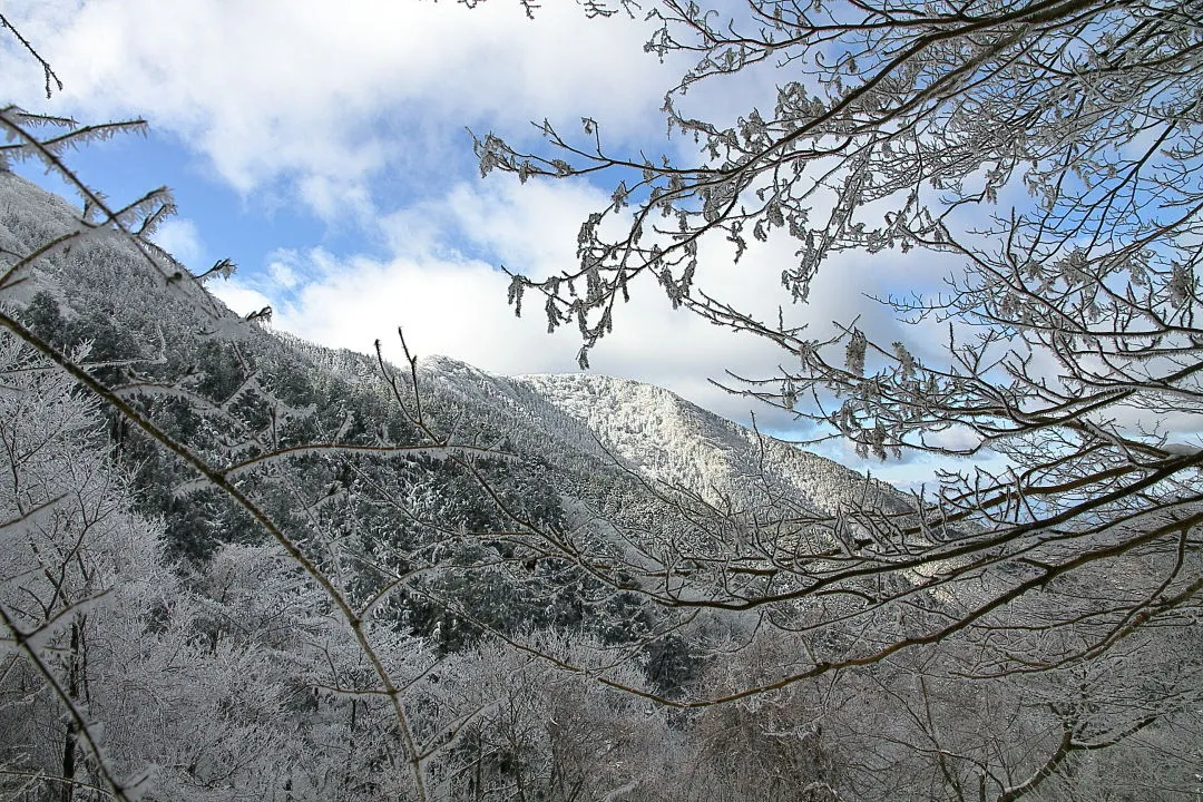 真っ白な薊岳