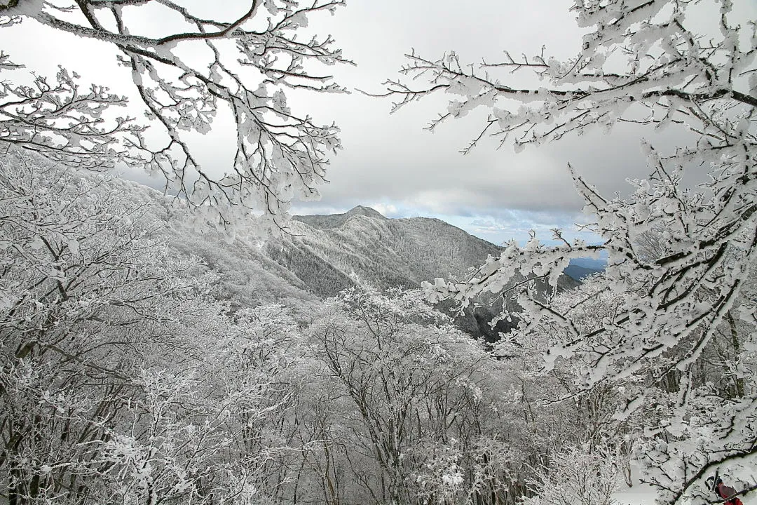 薊岳