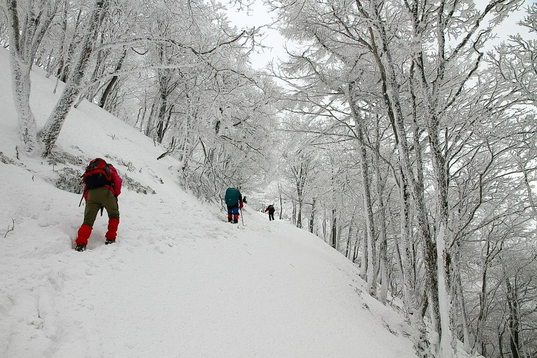 明神平前の登山道