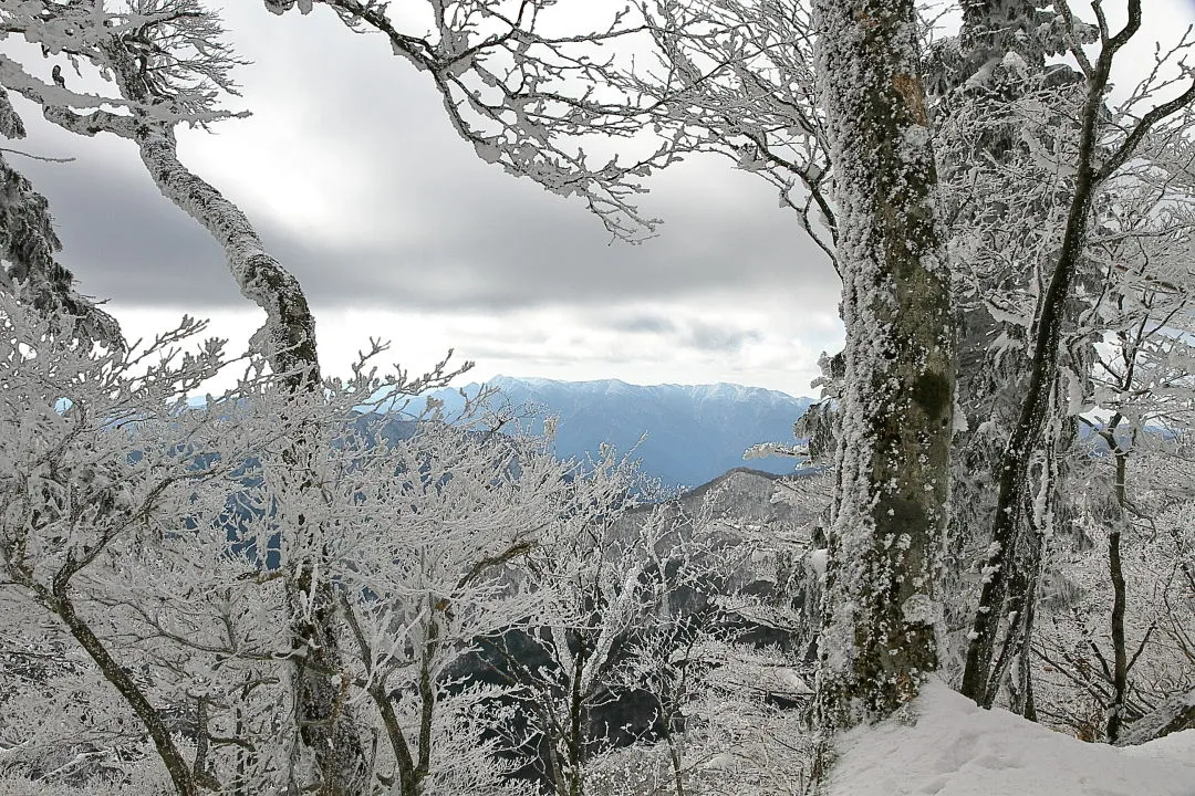 尾根道から