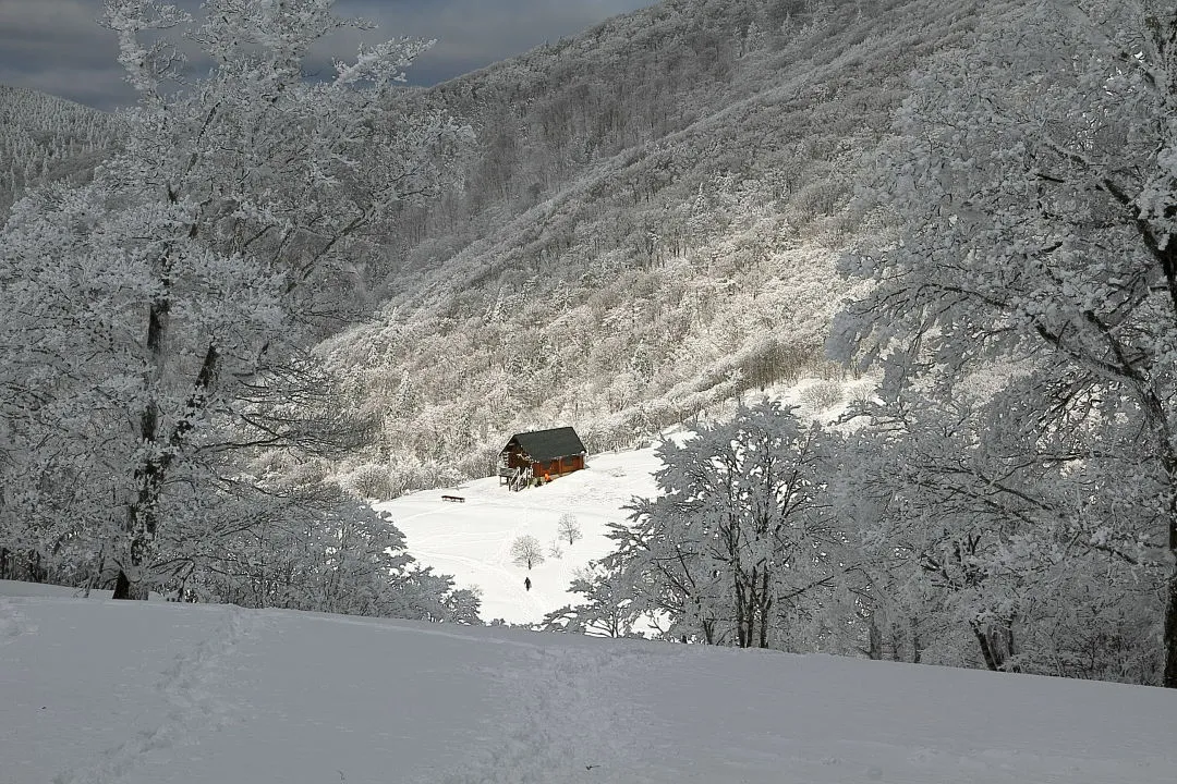 あしび山荘