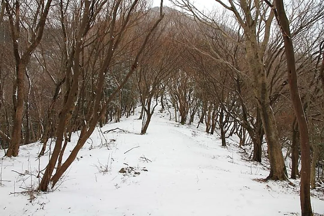 三岳への登山道