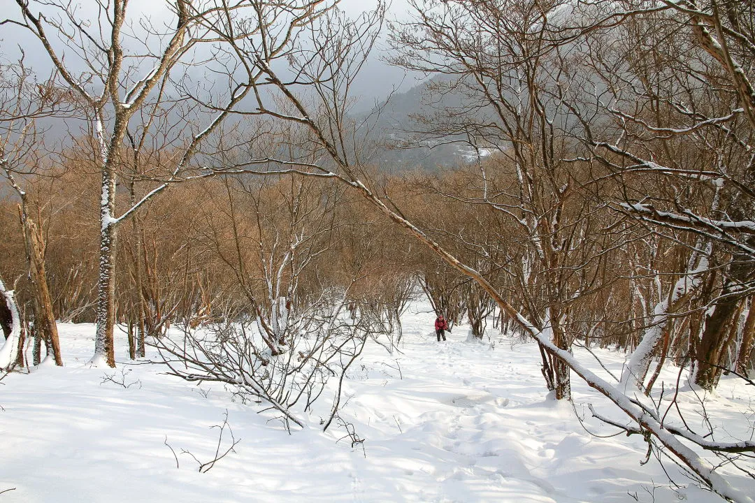 雪の多い登山道