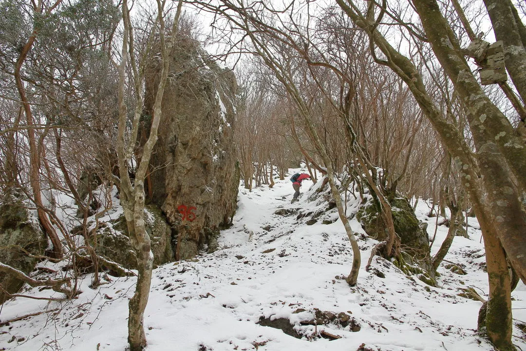 登山道