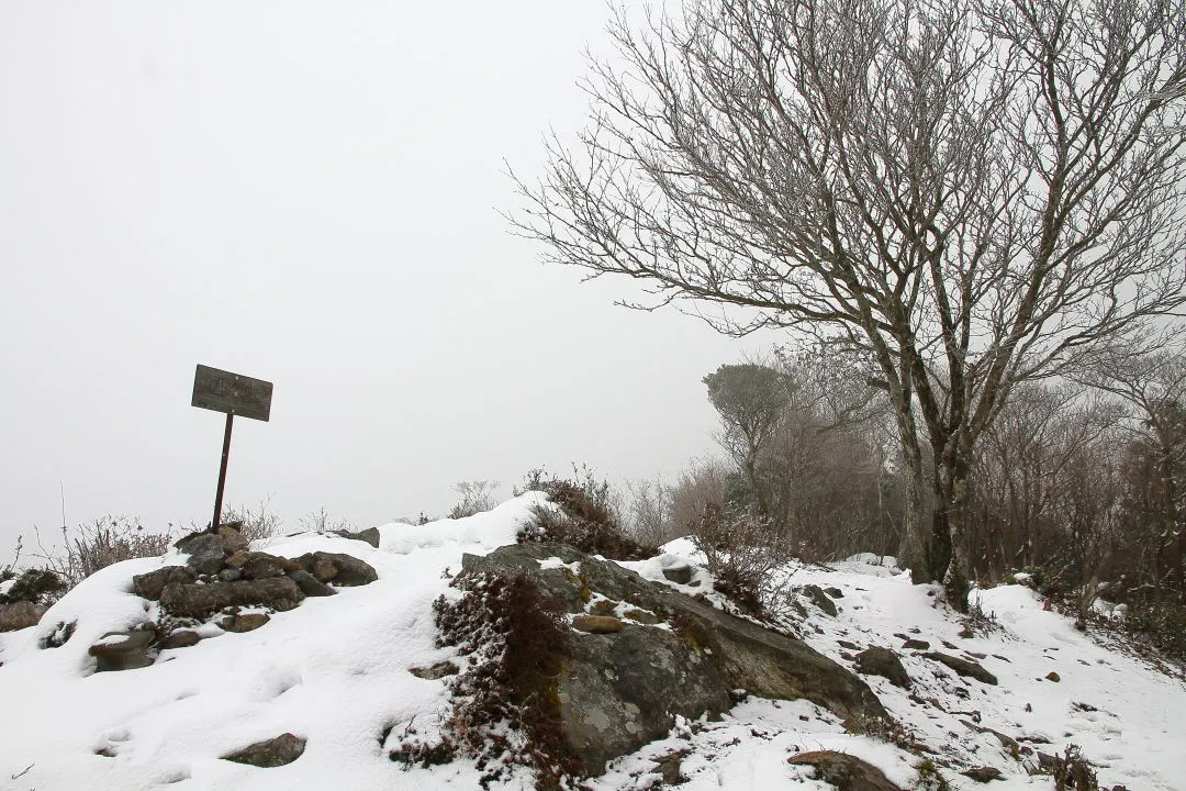 西ヶ岳山頂