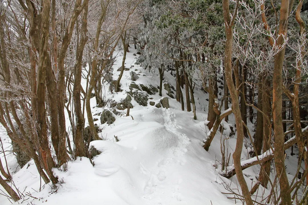 三岳山頂近く