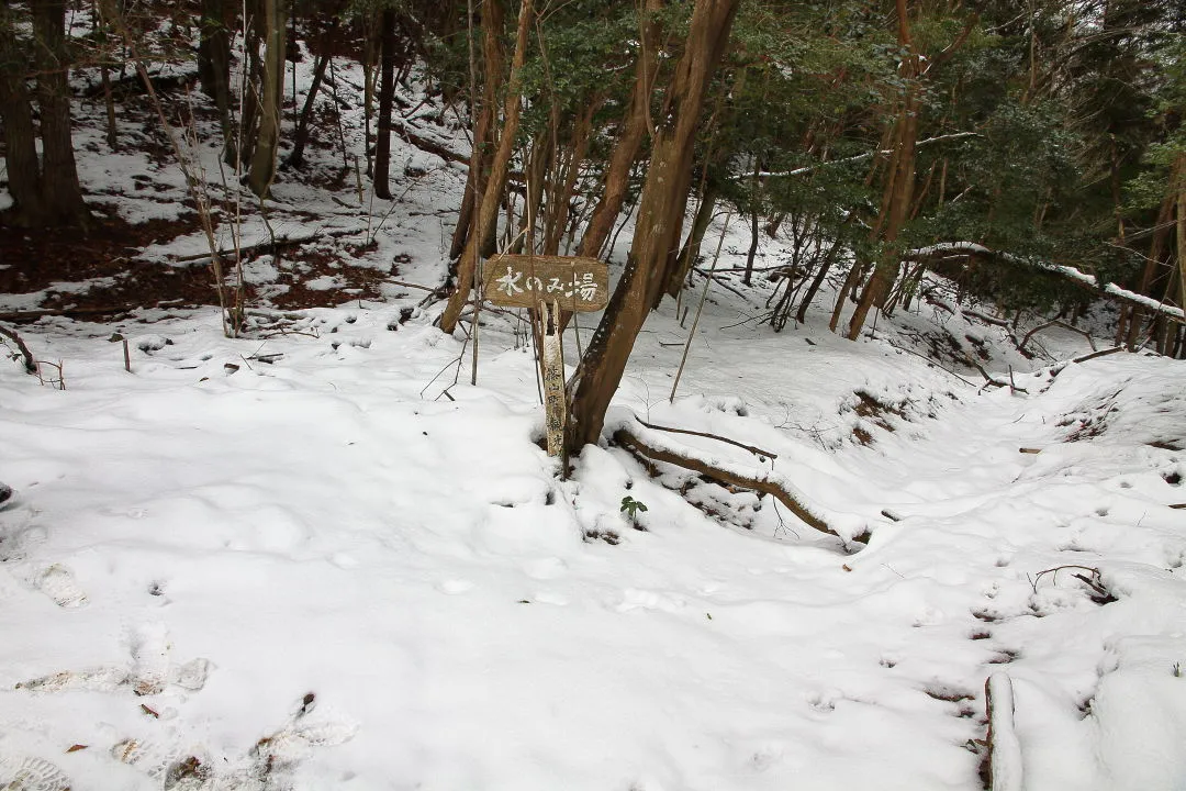 水のみ場