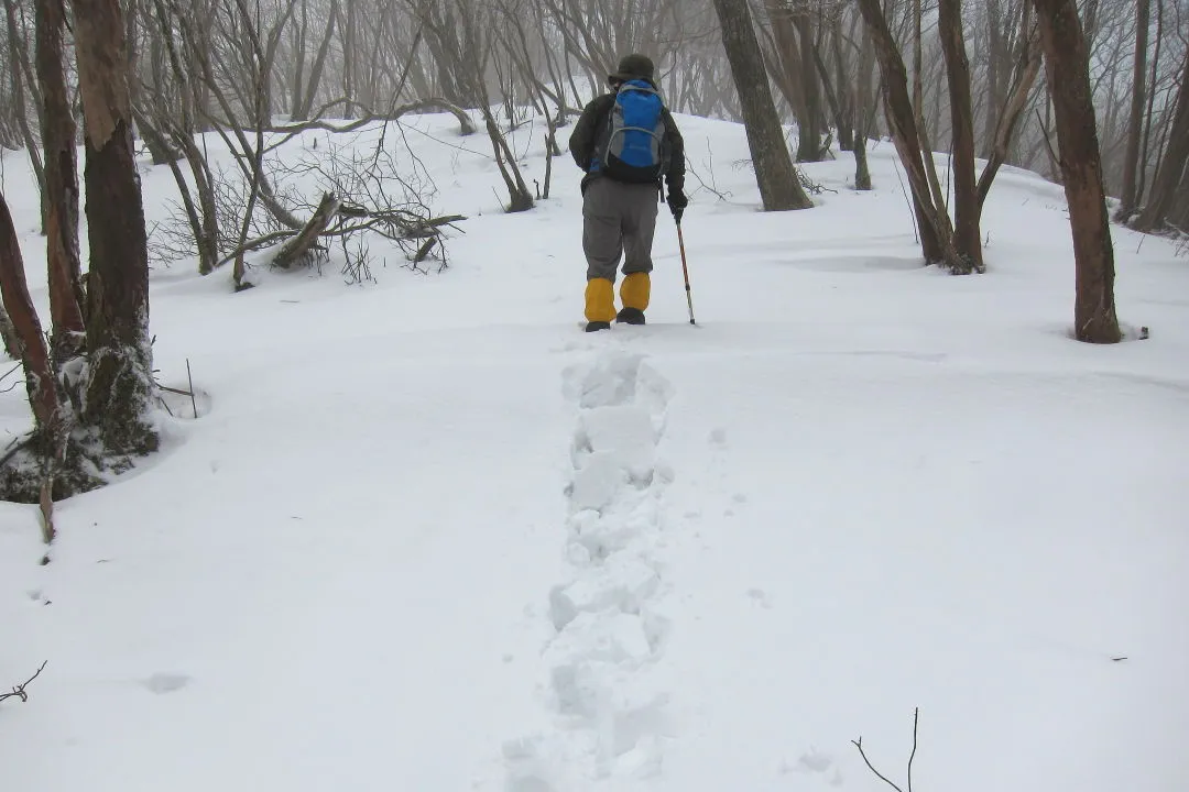 トレースが消えた登山道