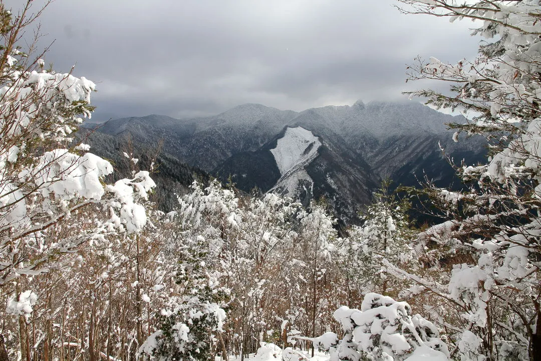 雲に覆われてきた稲村ヶ岳山頂