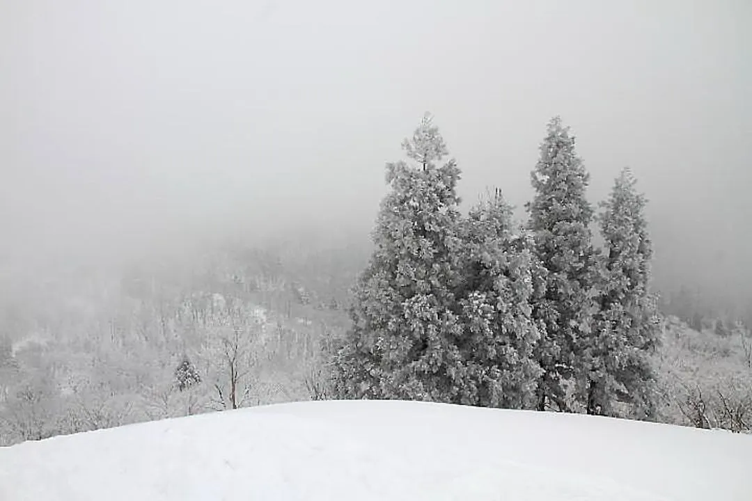 武奈ヶ岳は雲の中