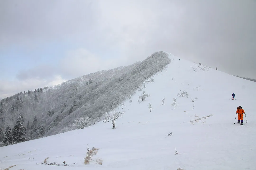 武奈ヶ岳山頂部