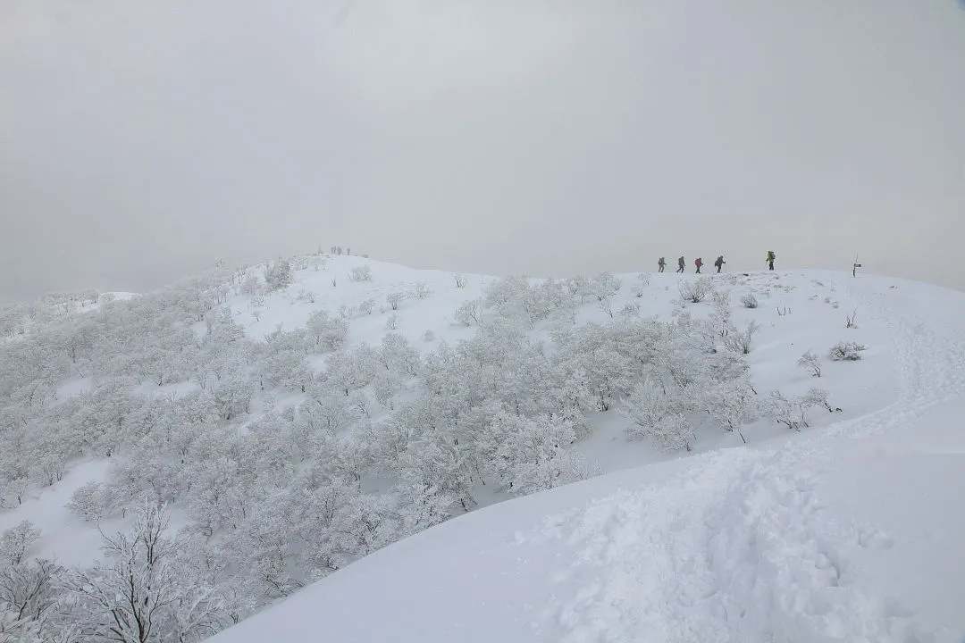 武奈ヶ岳山頂