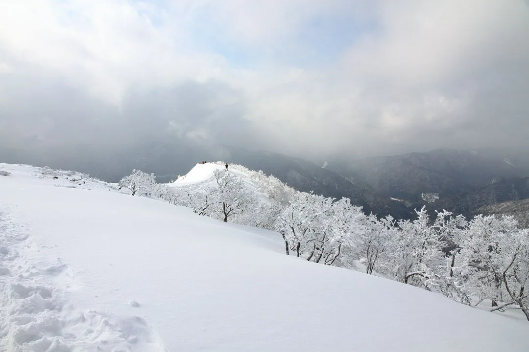 山頂から西南稜側