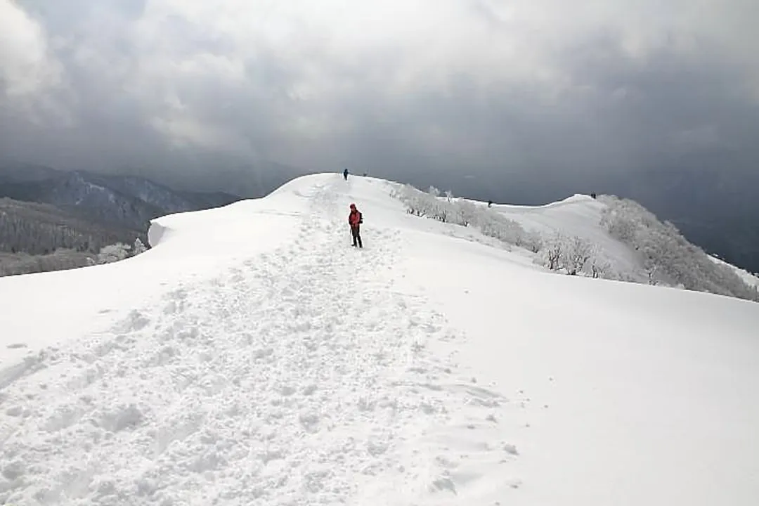 山頂から西南稜側