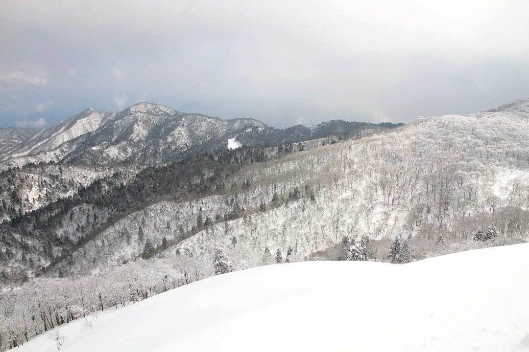 山頂からの景観