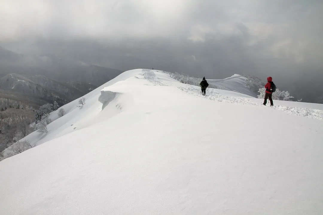 西南稜を御殿山に戻る