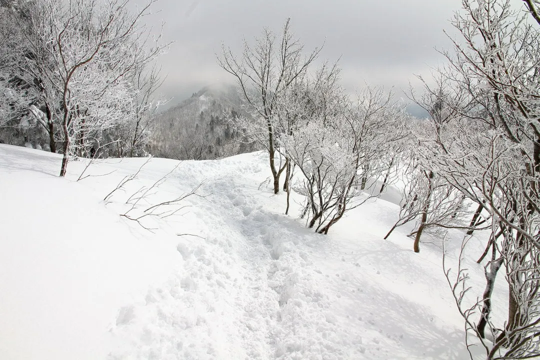 御殿山に向かう