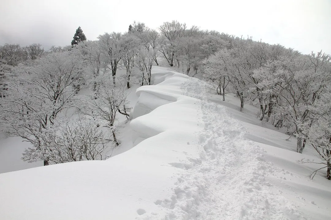 ワサビ峠から御殿山