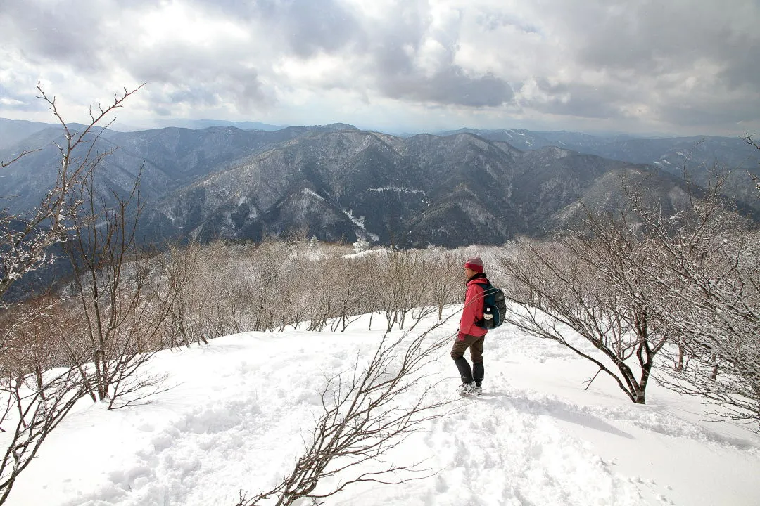 御殿山から下る